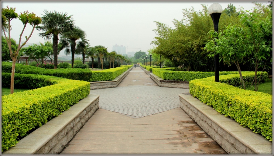 照片2012 467.jpg