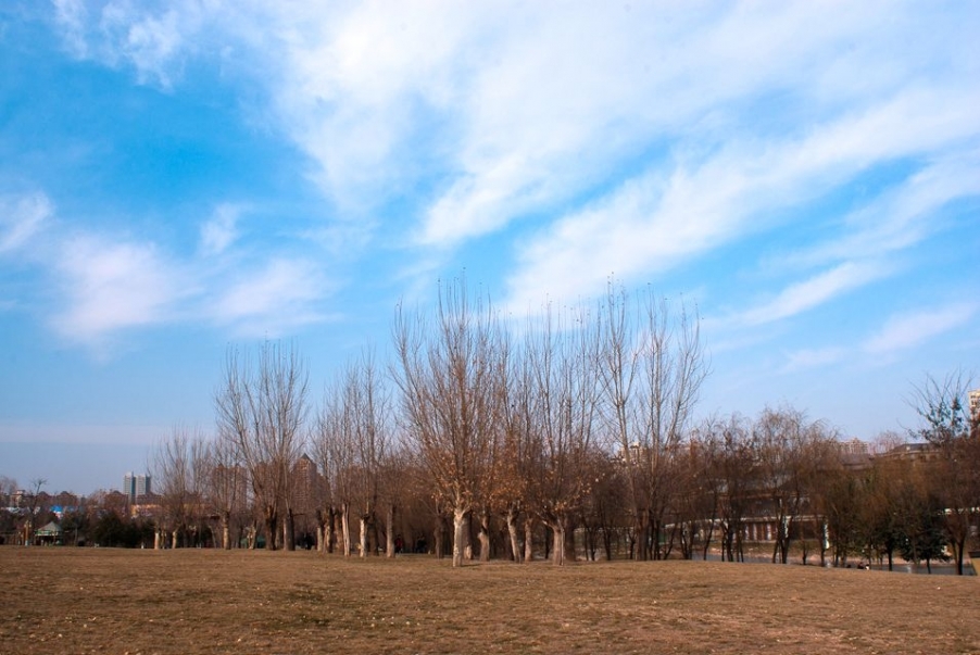 IMGP2070.JPG
