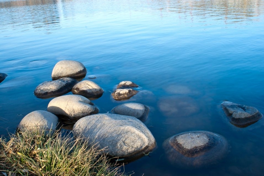 IMGP2095.JPG