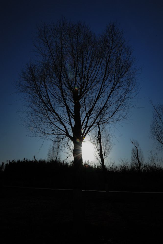 DSC_1313.jpg