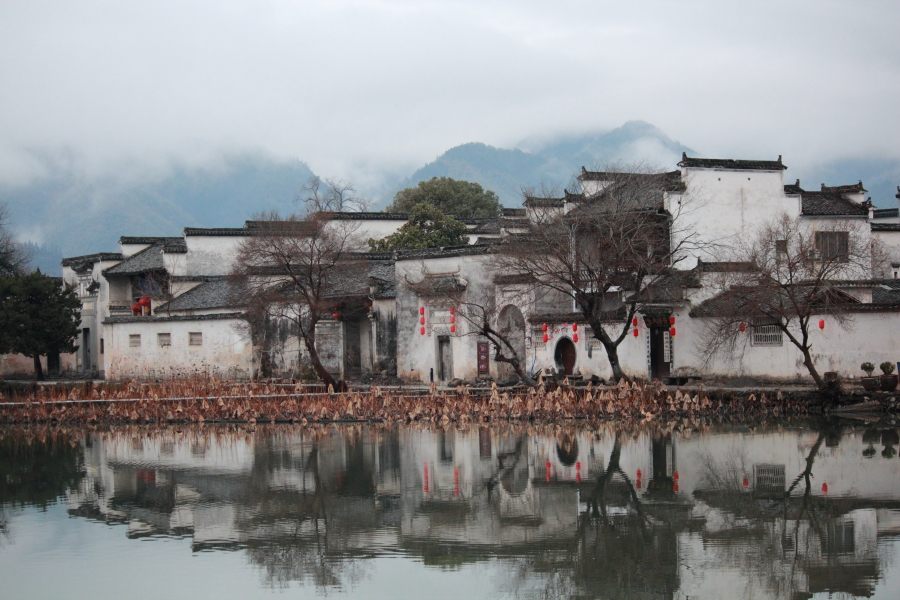 DPP_0119.JPG