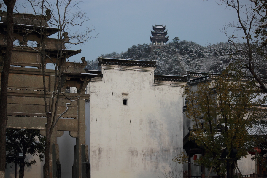 DPP_0128.JPG
