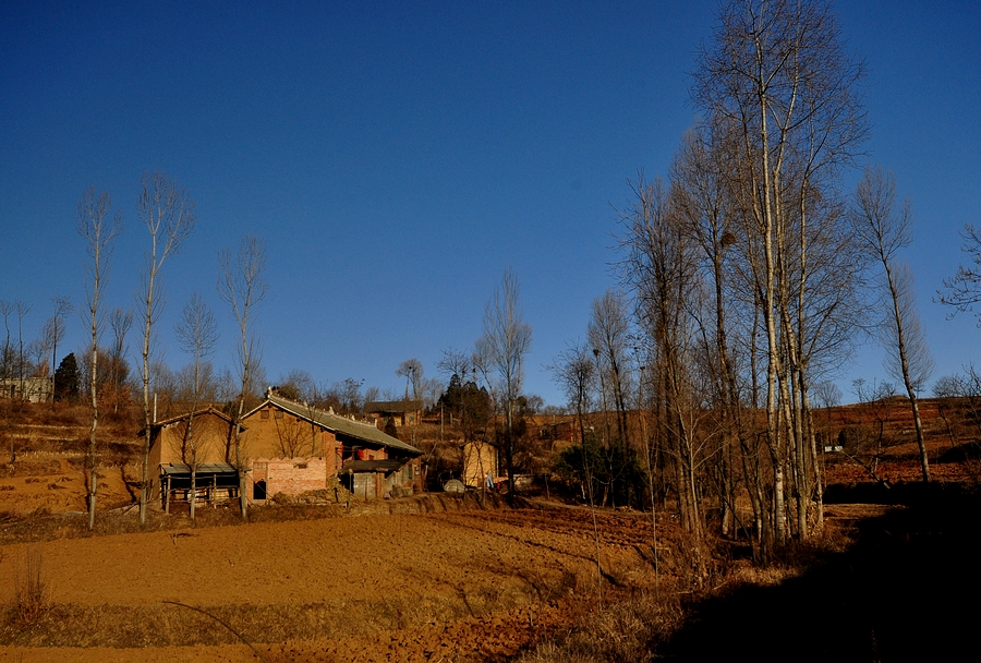 DSC_0098.jpg