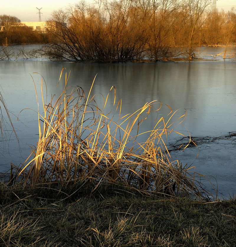_DSC0017.jpg