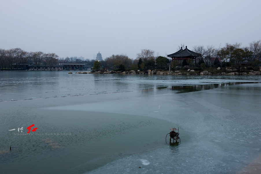 DSC_0189.jpg