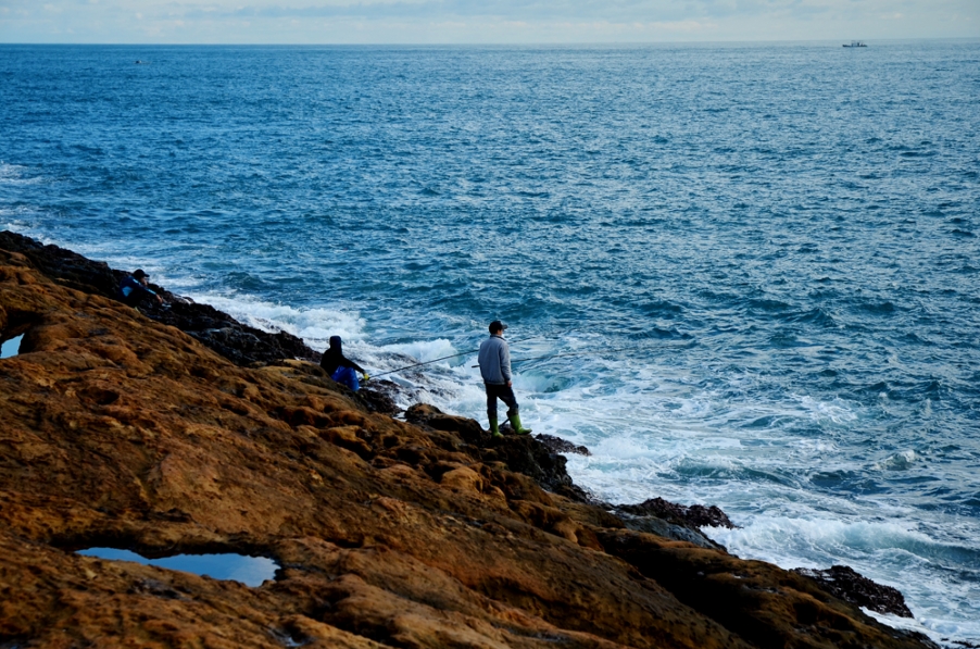 DSC_1249.jpg
