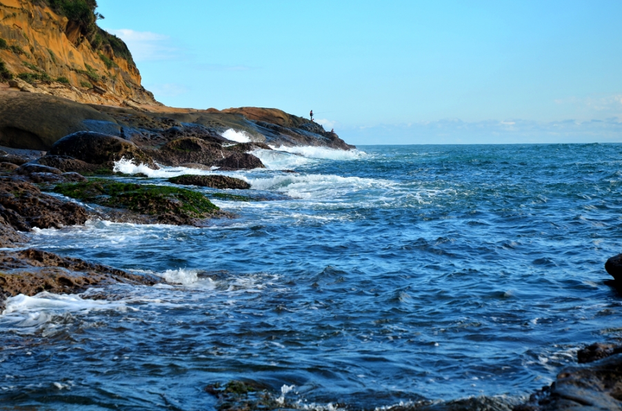 DSC_1262.jpg