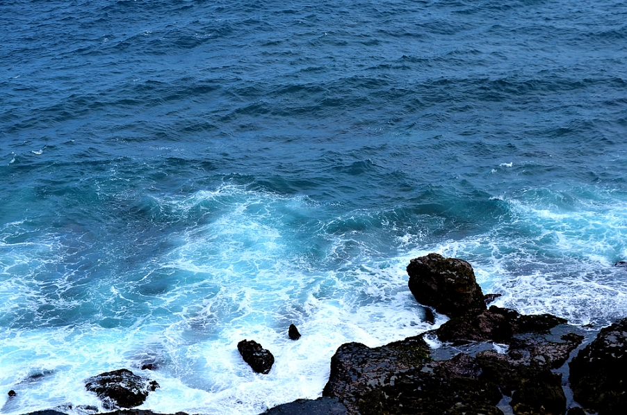 DSC_1416.jpg