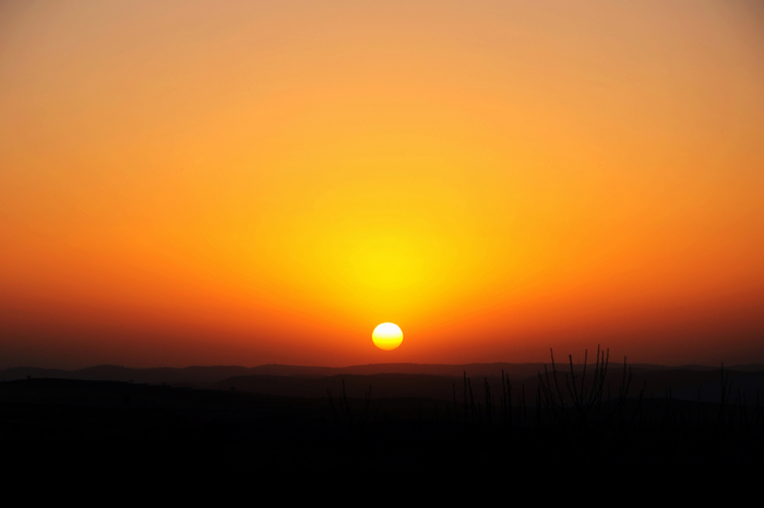 DSC_1505.JPG