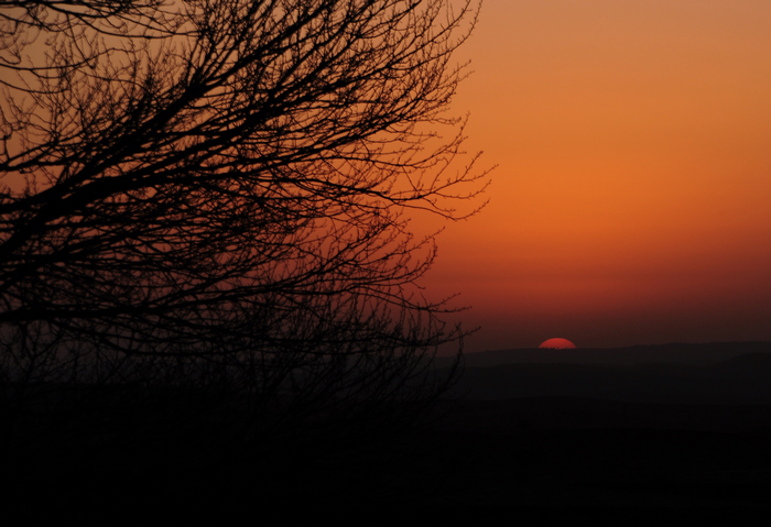 DSC_1534.JPG