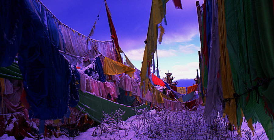 L1023027.jpg
