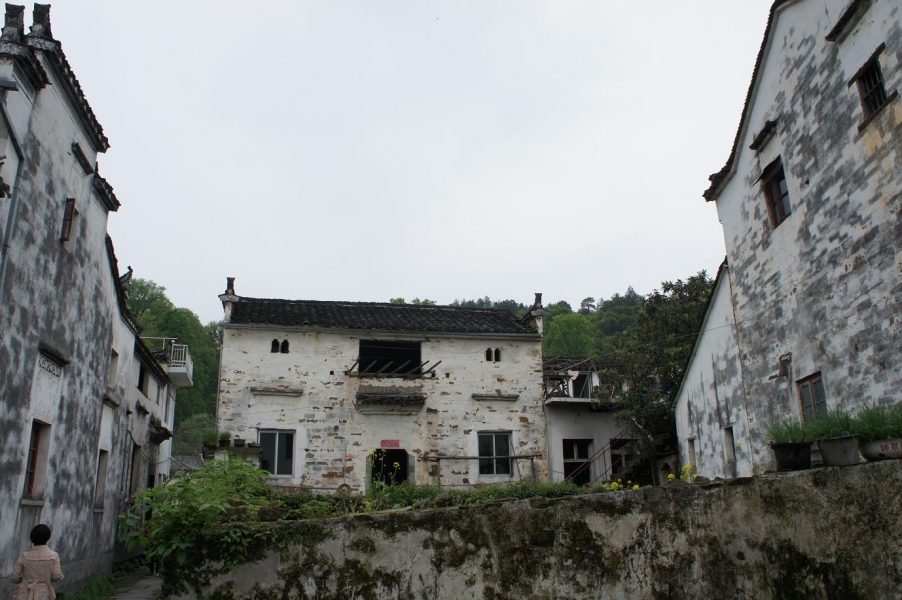 DSC05522.JPG