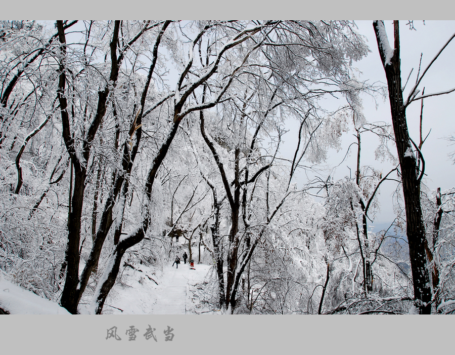 武当风雪6.JPG