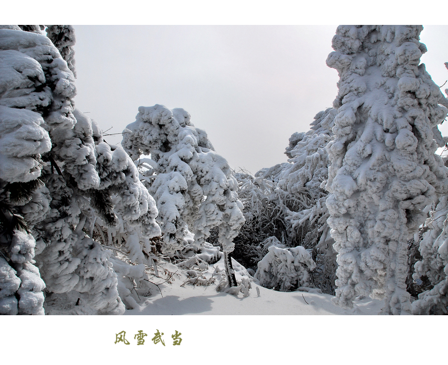 武当风雪15.JPG