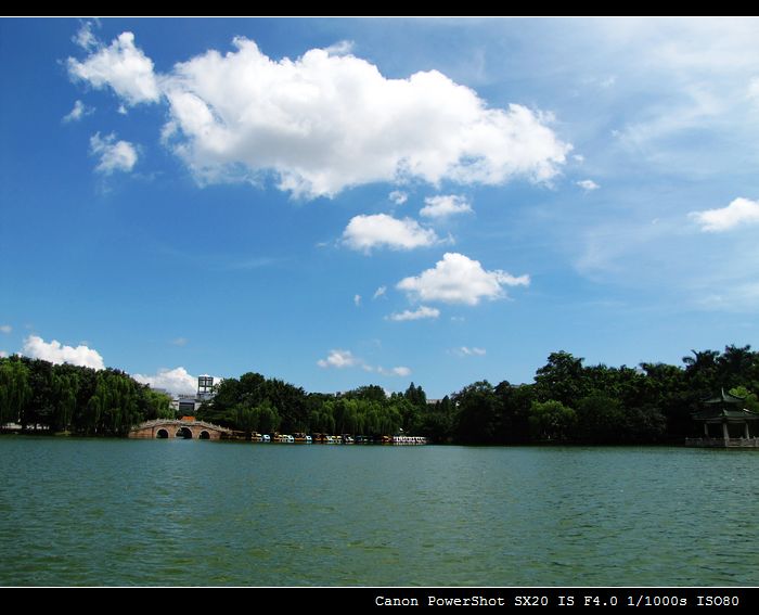 仙湖美景之三.jpg