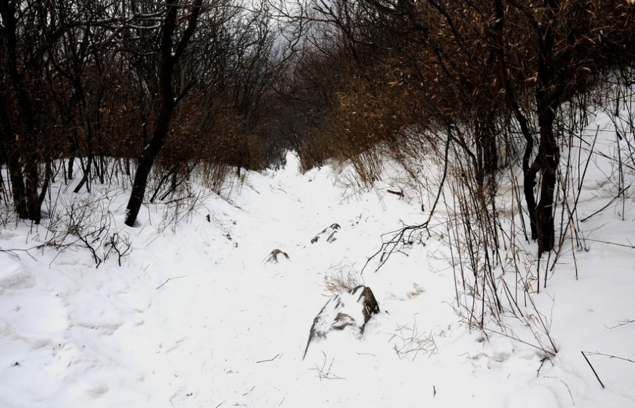 DSC_1690.JPG