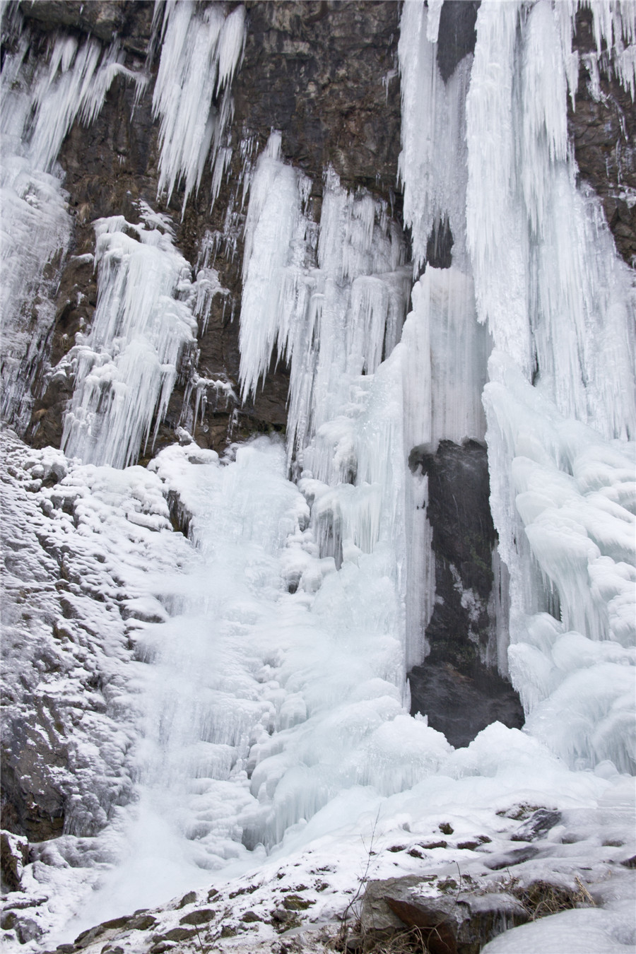 _MG_6742.jpg