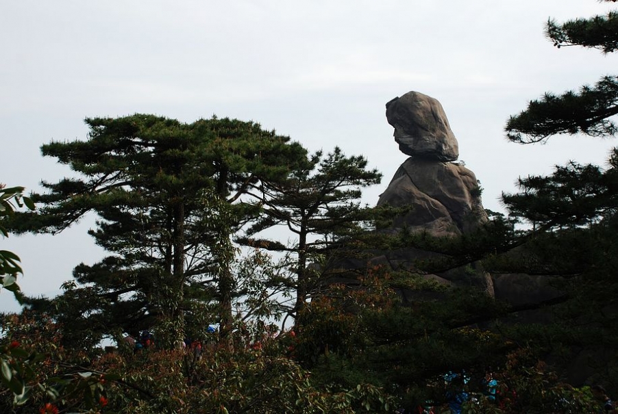 DSC_0313.JPG