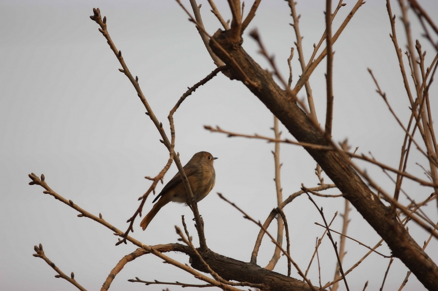 IMG_1571-edit.jpg
