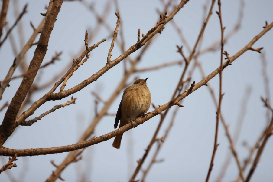 IMG_1561-edit.jpg