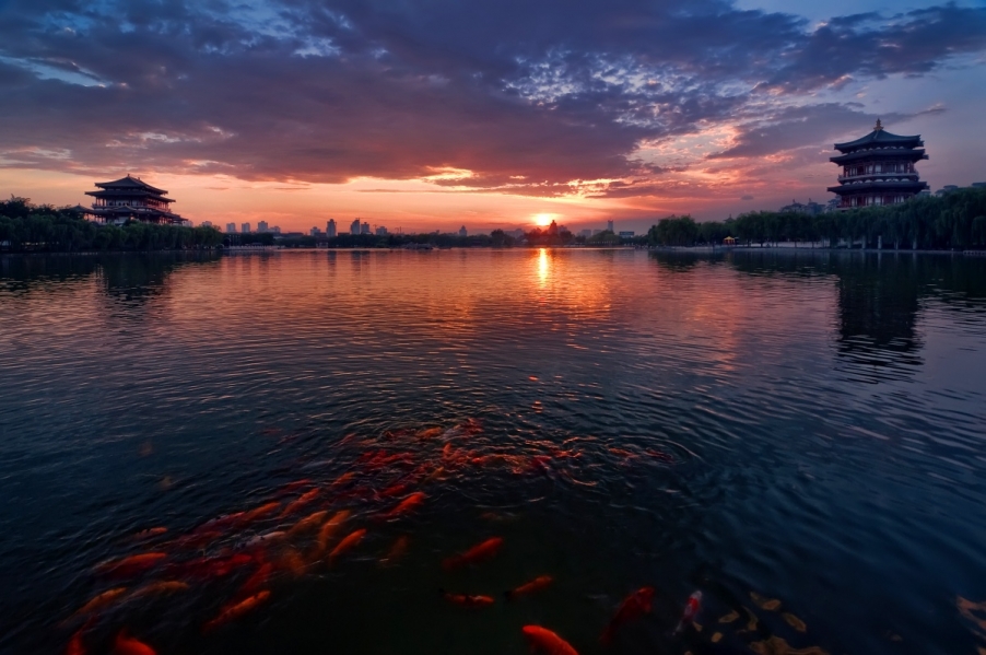 _DSC9101  a_conew2.jpg