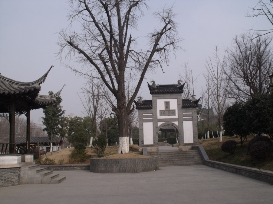 DSCF4118.JPG