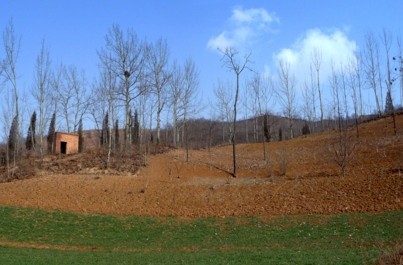 P1120139.JPG