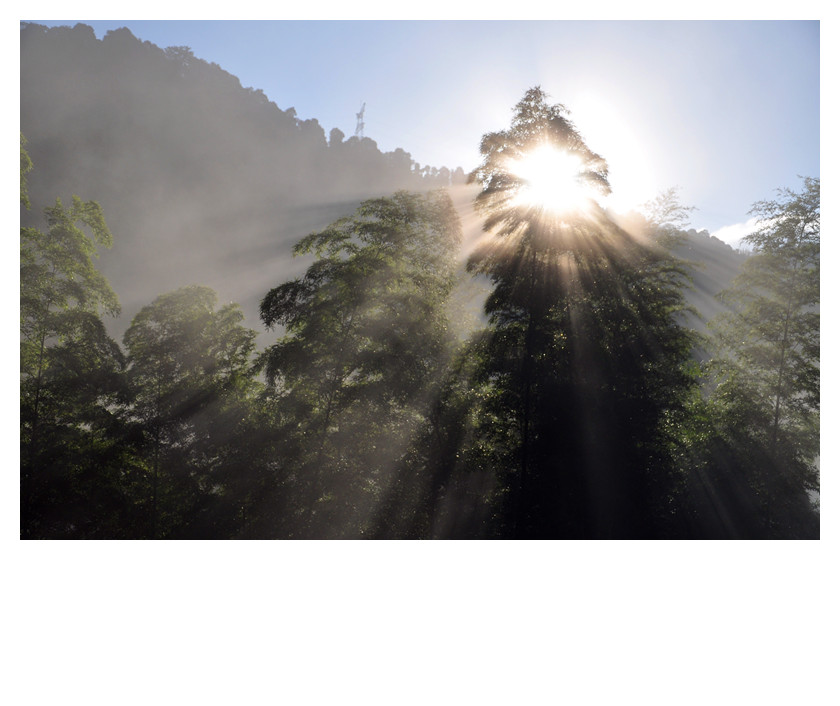 复件 DSC_02.jpg
