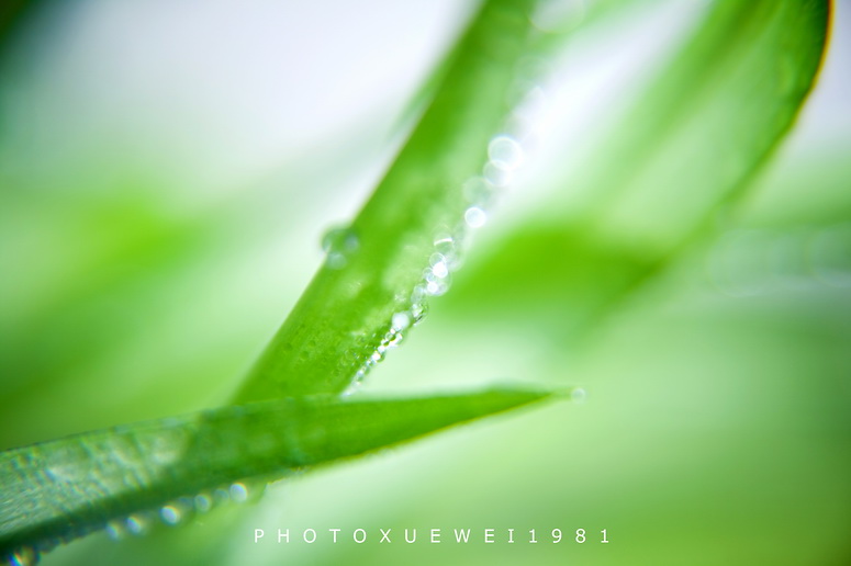 IMG_0550副本.jpg
