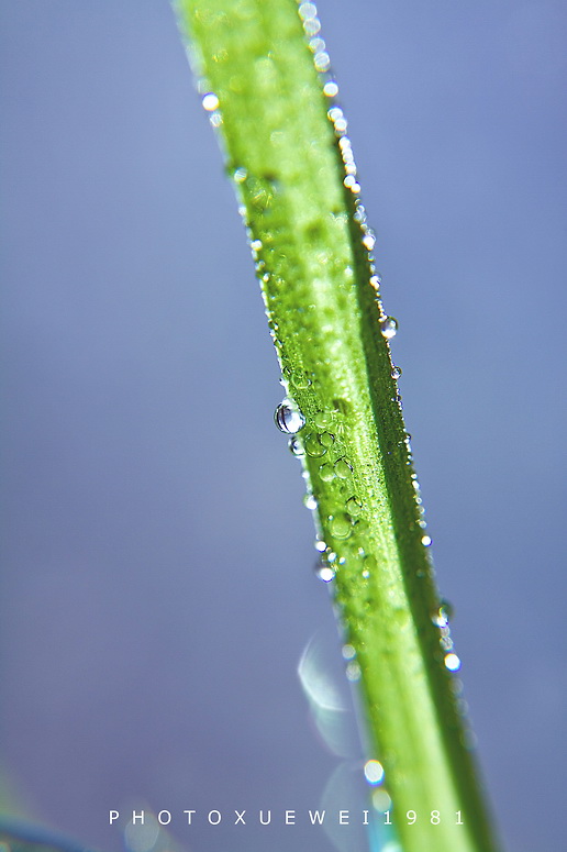 IMG_0561副本.jpg