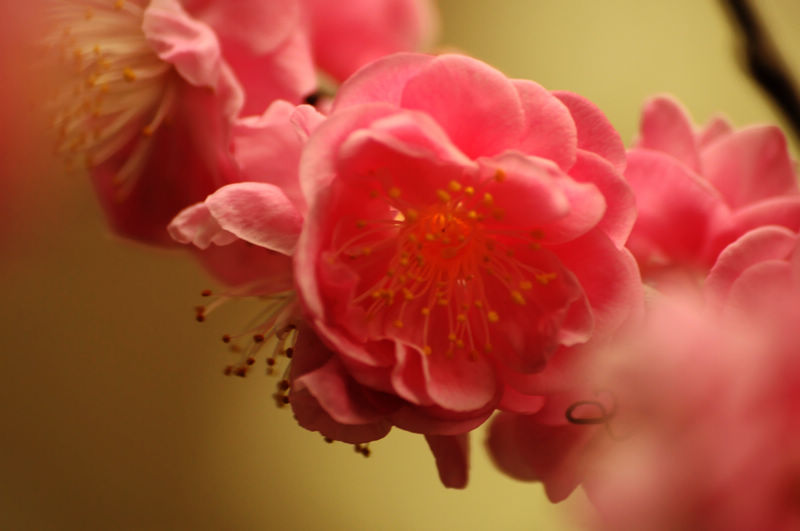 2013.1.20 02715.jpg