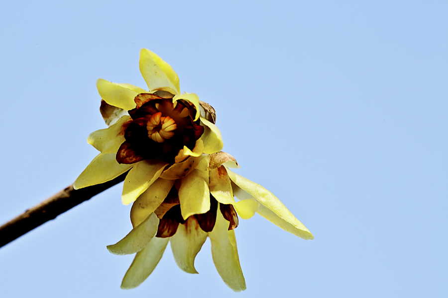 _MG_4830.jpg