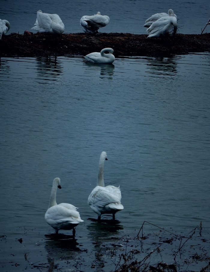 DSC_0874.jpg