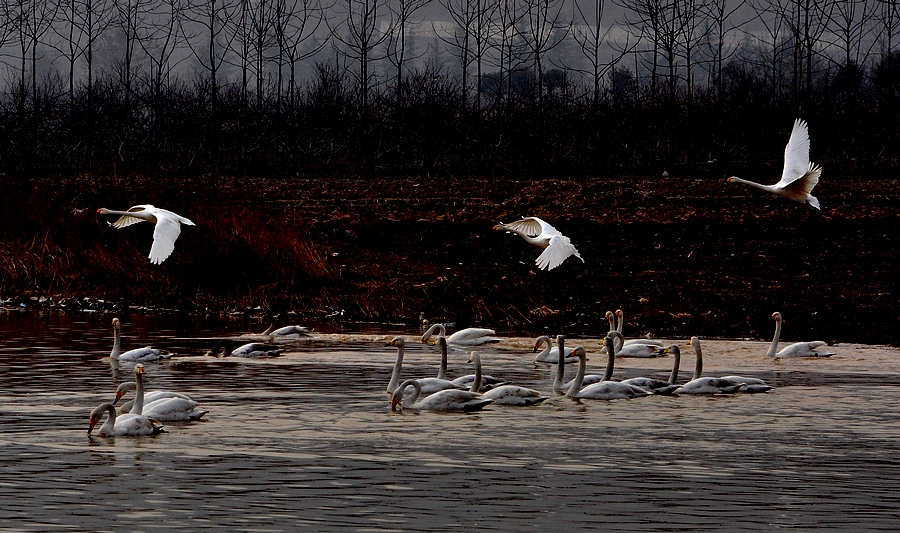 DSC_0884.jpg