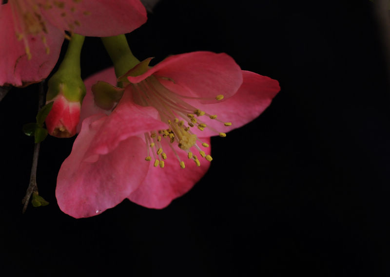 2013.2.19 07516.jpg