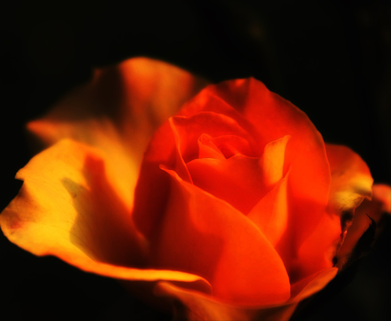 IMG_5170_副本.jpg