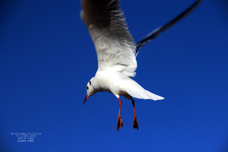 IMG_8338_副本.jpg