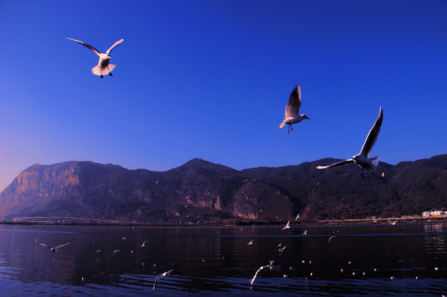 IMG_8383_副本.jpg