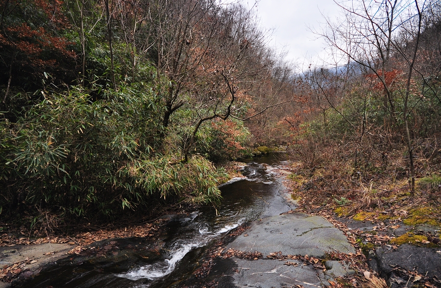 DSC_0097.jpg