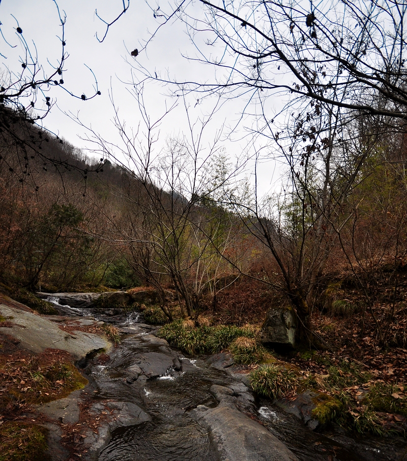 DSC_0210.jpg