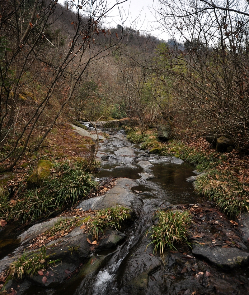 DSC_0221.jpg