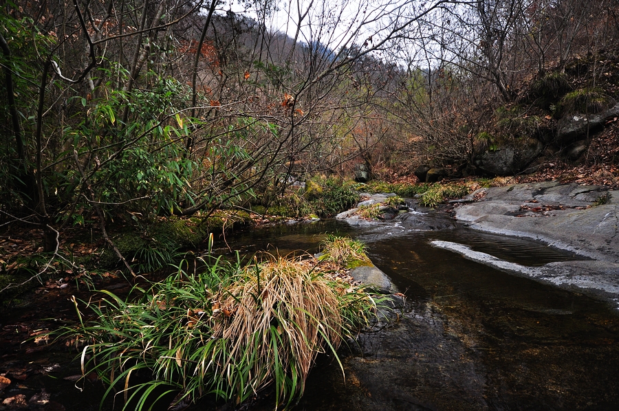 DSC_0227.jpg