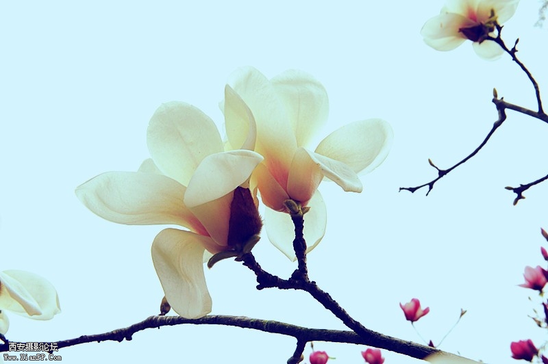 CTCAQHI5YXCA297IDKCANK1PB1CAMA2S3RCAEKW5ESCA7247FVCA9CHKVRCA7XO2AGCAZ4HJL9CAD6P5.jpg