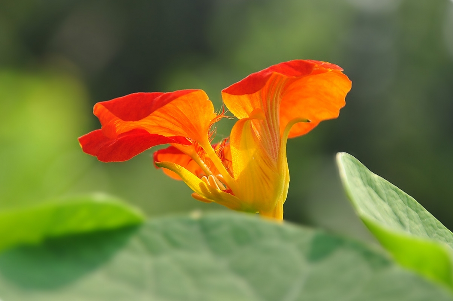 DSC_0471副本.jpg