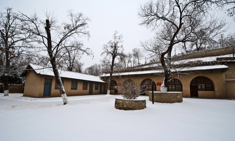 DSC_5949.JPG