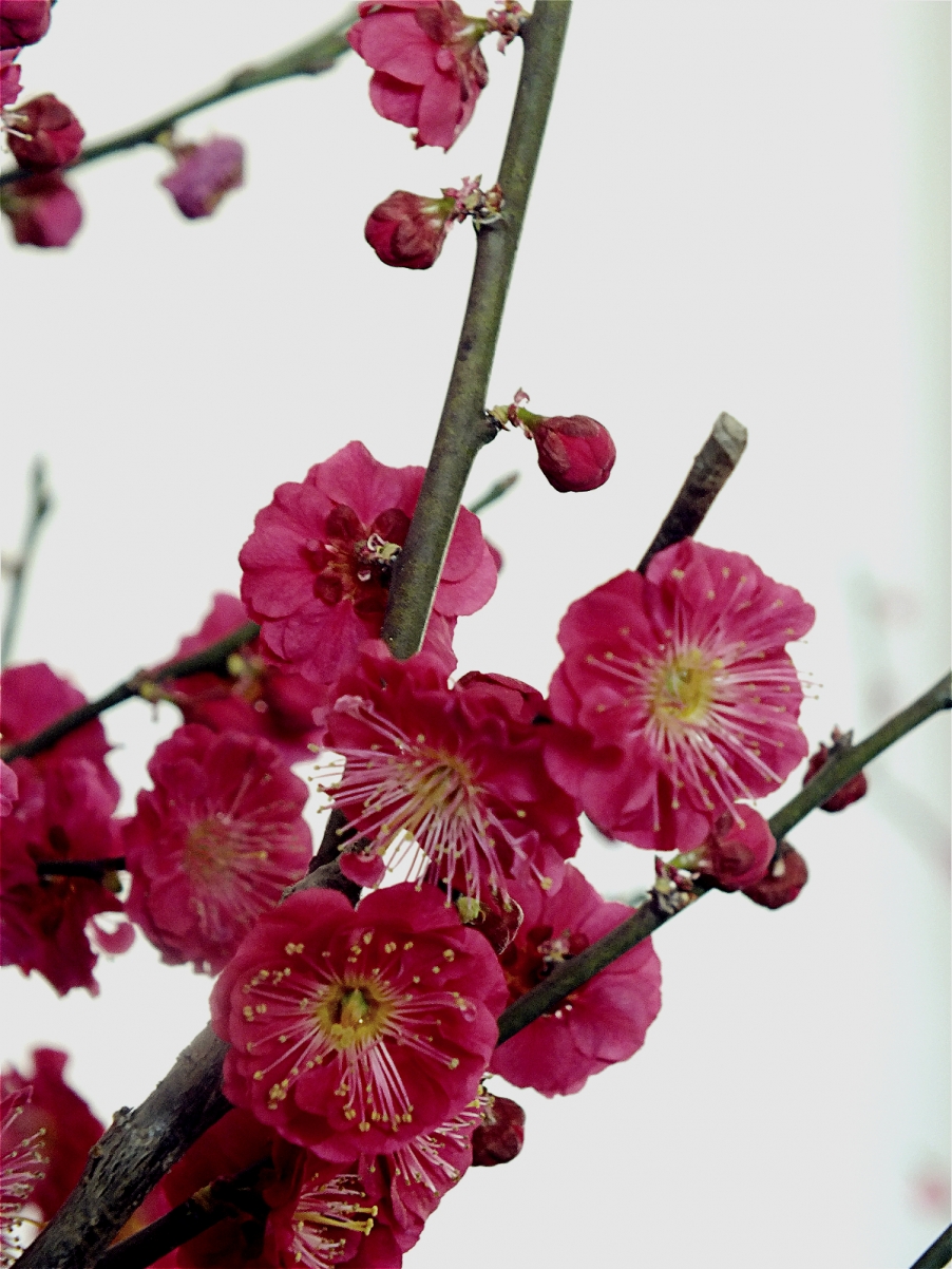 DSCF3930_meitu_3.jpg