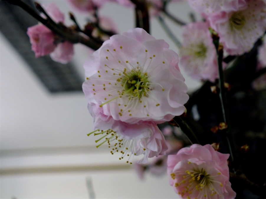 DSCF3966_meitu_14.jpg
