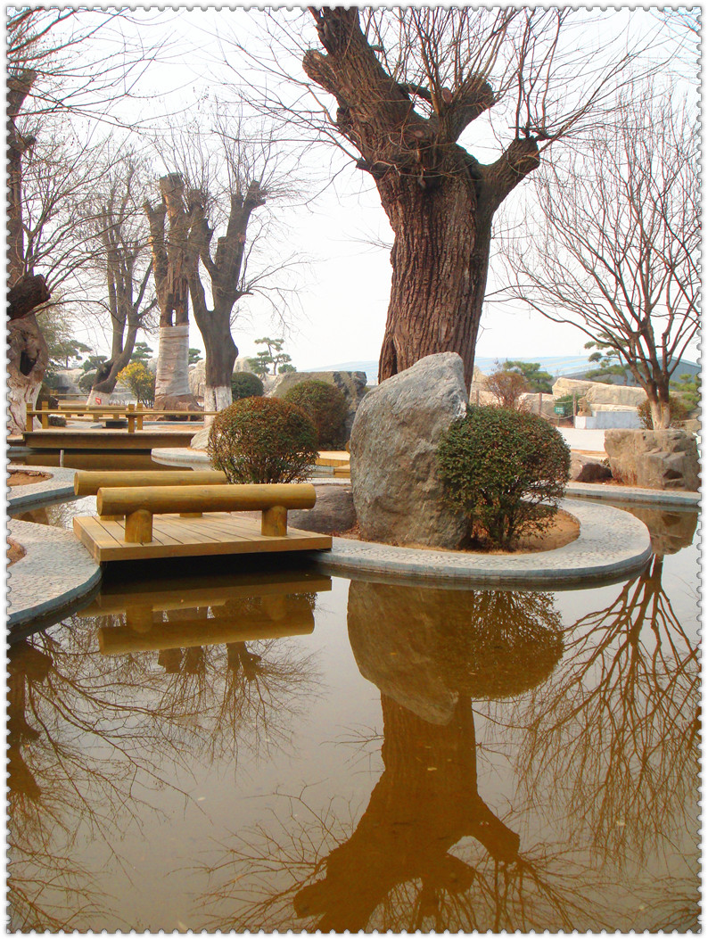 DSC03297_副本.jpg