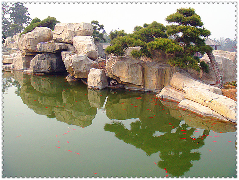 DSC03305_副本.jpg