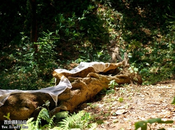 rs003-560x417.jpg